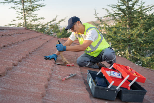 Best Flat Roof Repair Services  in Balcones Heights, TX